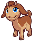 goat_1