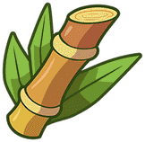 sugarcane_1